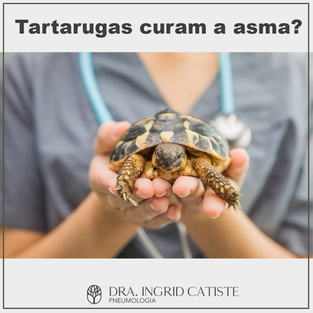 Tartarugas curam a asma?